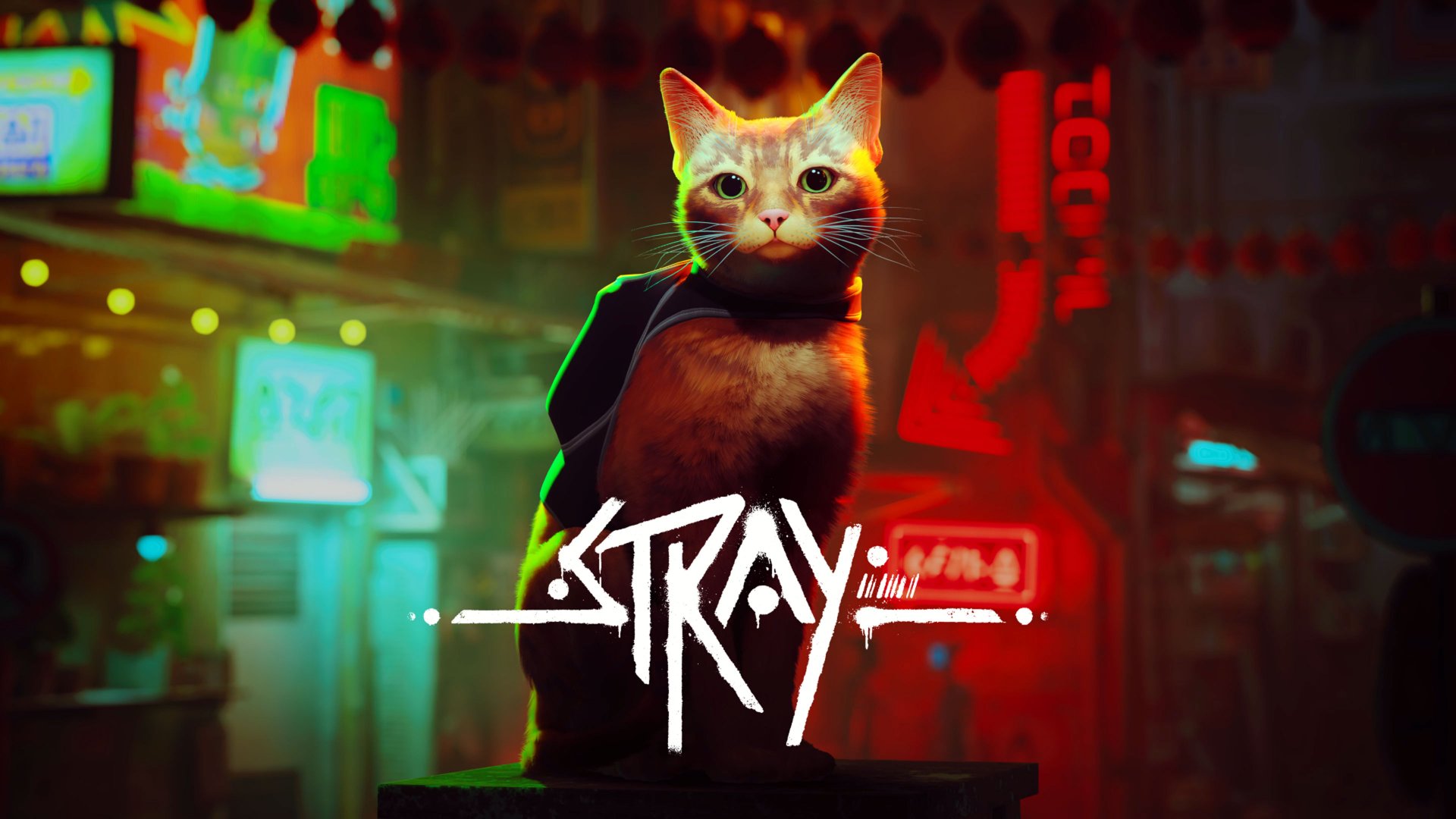 Stray cover